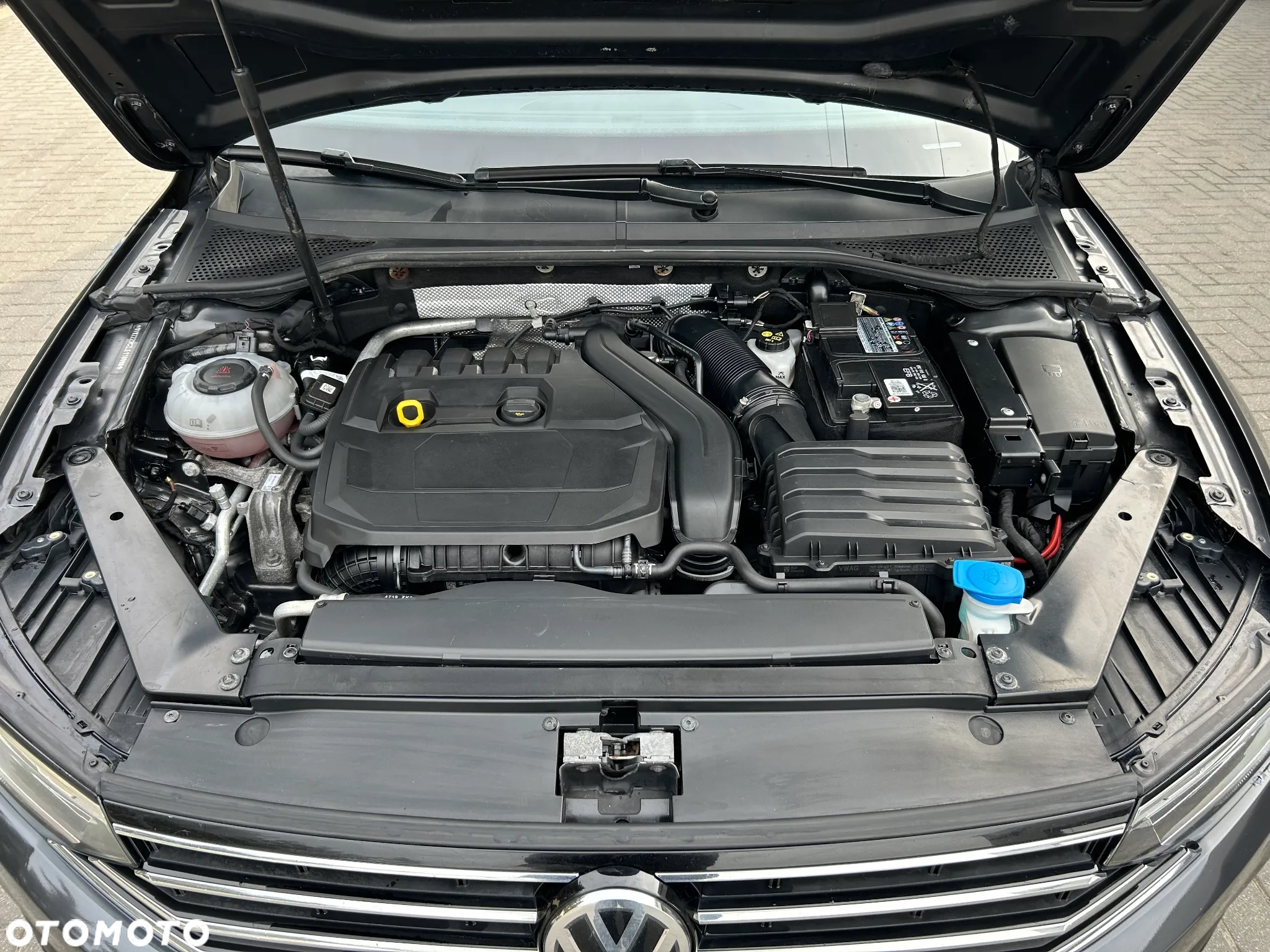 passat18